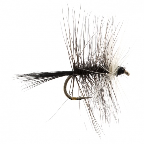 The Essential Fly Bi Visible Black Fishing Fly